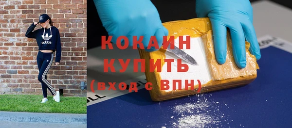 крисы Арсеньев