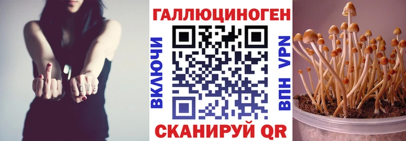 Псилоцибиновые грибы прущие грибы  Палласовка 